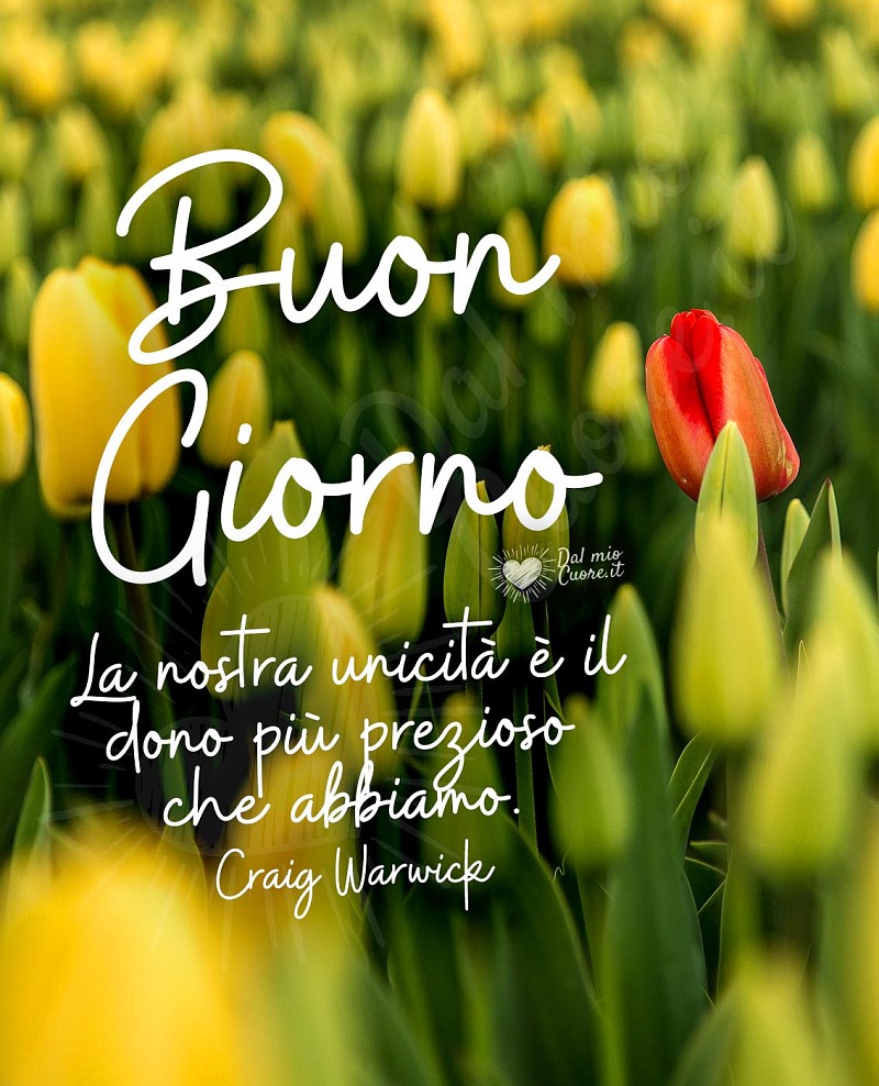 La nostra unicità è il dono più prezioso che abbiamo. Buon Giorno (Frasi)