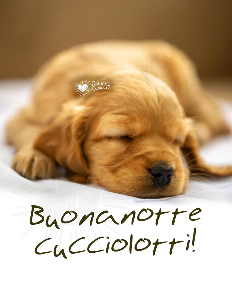 Buonanotte Dolce e Tenera con Cucciolo che Dorme sotto le Coperte