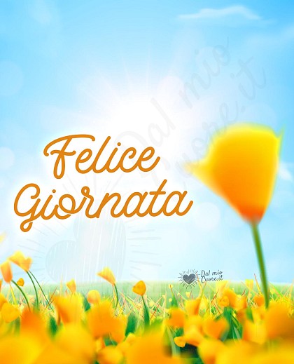 Felice Giornata con campo di fiori gialli