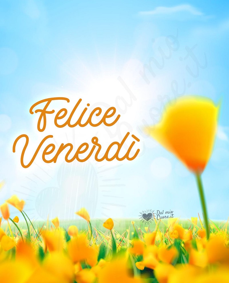 Felice Venerdì con campo di fiori gialli