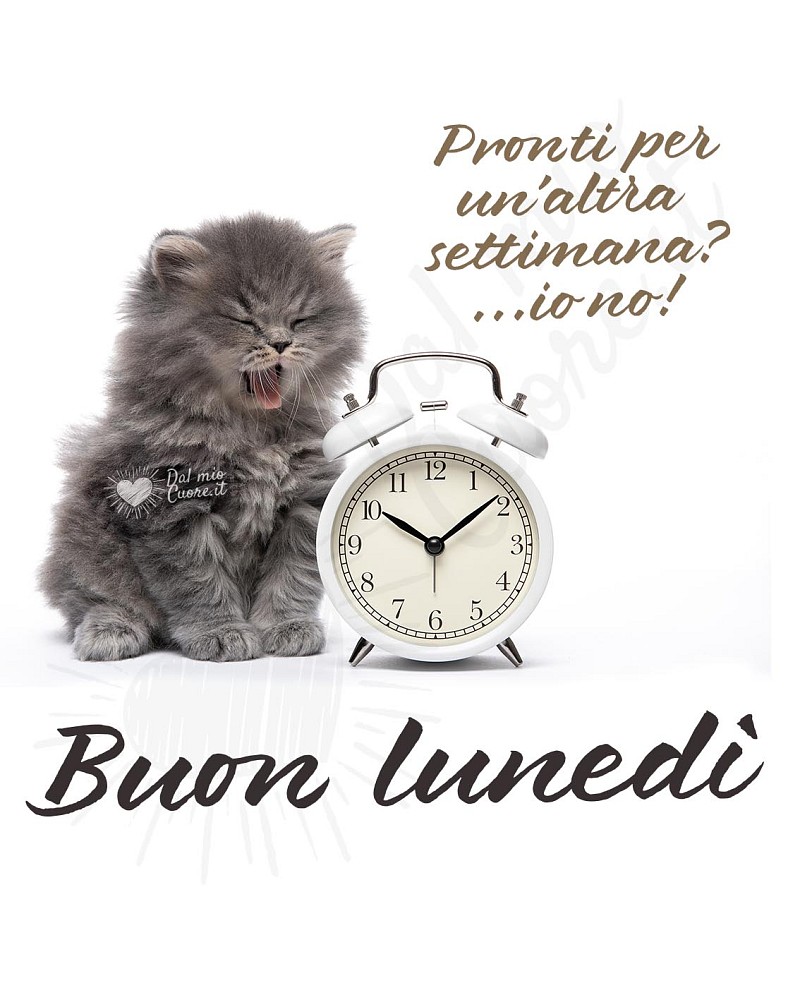 Pronti per una nuova settimana? ...io no! Buon lunedì (divertente)