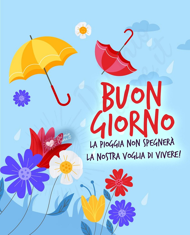 Buongiorno. La pioggia non spegnerà la nostra voglia di vivere!