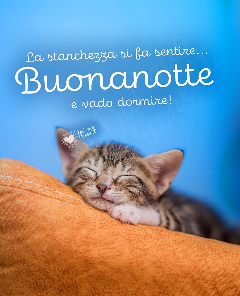La stanchezza si fa sentire... buonanotte e vado dormire!