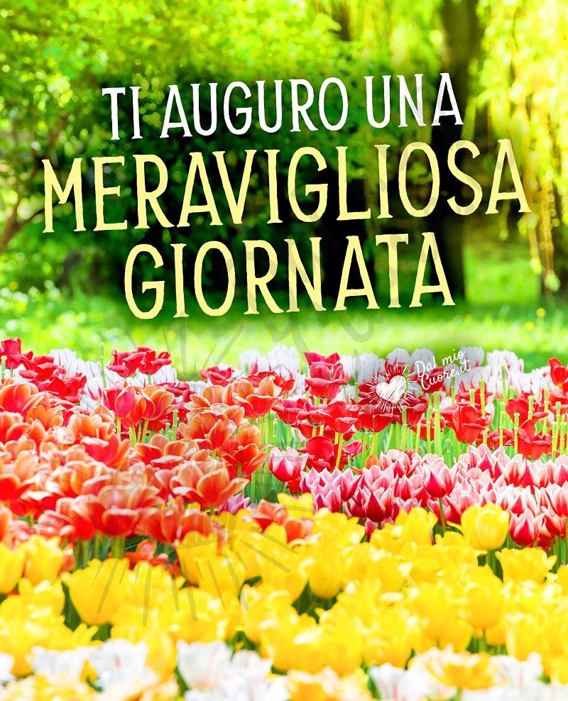 Ti auguro una meravigliosa giornata