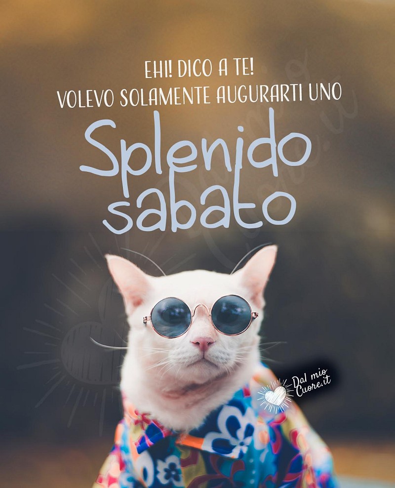 Ehi! Dico a te! Volevo solamente augurarti uno splendido sabato