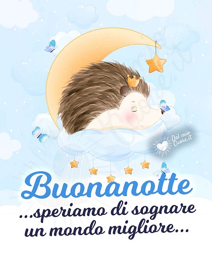 Ti auguro di sognare un mondo migliore... Imm buonanotte con riccio che dorme