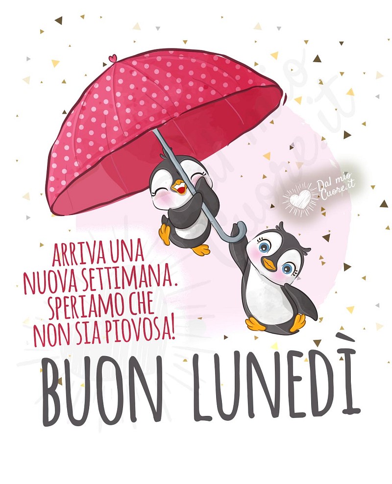 Buon lunedì e settimana di pioggia