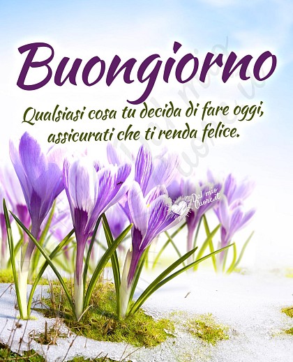 Immagine Buongiorno con frase: Qualsiasi cosa tu decida di fare oggi, assicurati che ti renda felice.