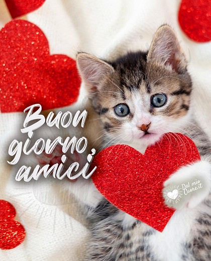 Buongiorno, amici con gattino e cuoricini