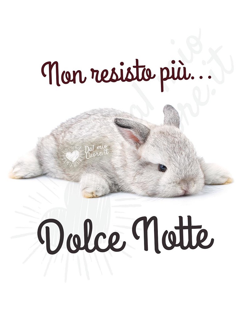 Non resisto più... dolce notte divertentissima!