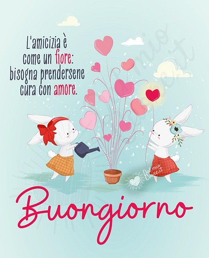 Buongiorno. Frase. L'amicizia è come un fiore: bisogna prendersene cura con amore.