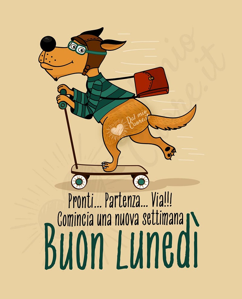Pronti... Partenza... Via!!! Comincia una nuova settimana! Buon lunedì
