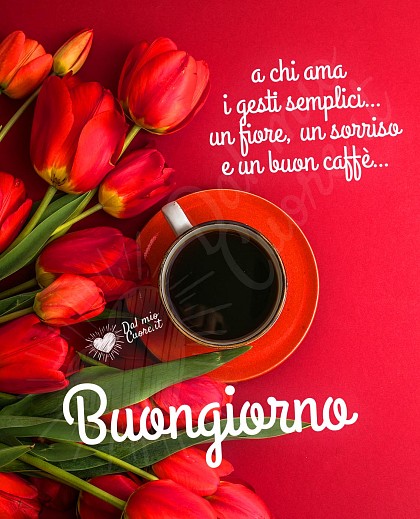 Buongiorno a chi ama i gesti semplici... un fiore, un sorriso e un buon caffè...