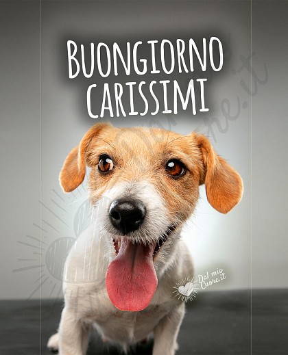 Buongiorno Carissimi