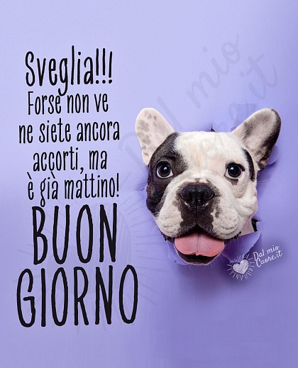 Sveglia!! Forse non ve ne siete ancora accorti, ma è già mattino! Buon giorno