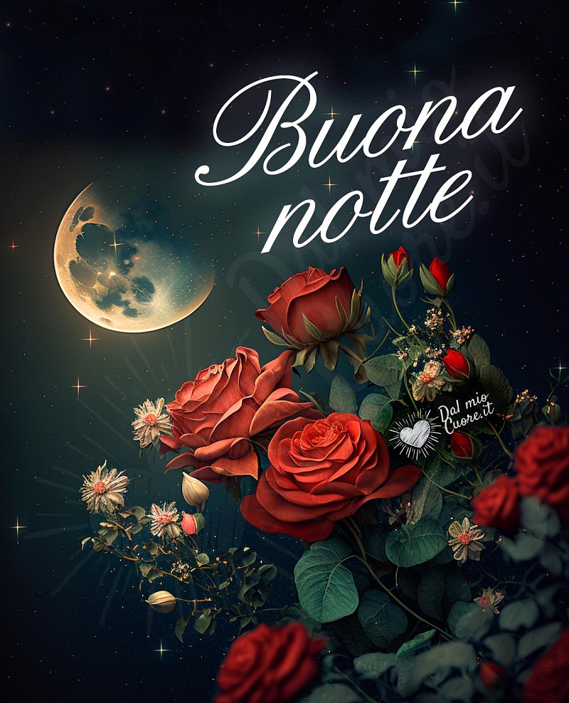 Buona notte, immagine con rose