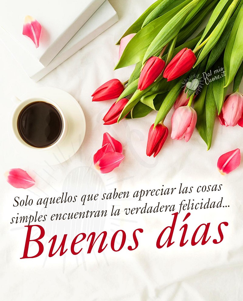 Solo aquellos que saben apreciar las cosas simples encuentran la verdadera felicidad... Buenos días