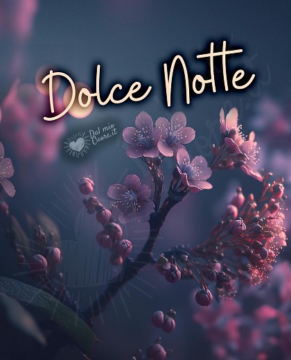 Dolce notte con fiori