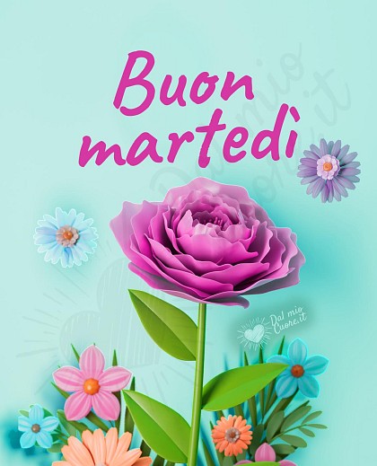 Buon martedì primaverile con fiore