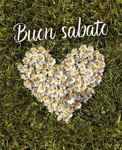 Buon sabato primaverile con cuore di margherite