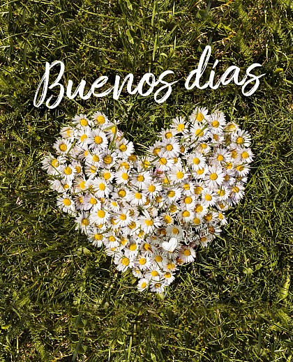 Buenos días de primavera con un corazón hecho de margaritas