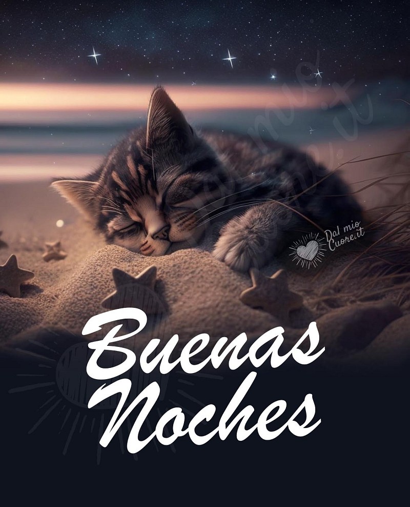 Buenas noches, gatito