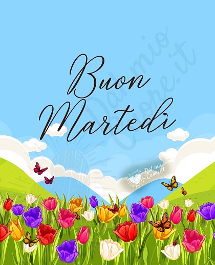 Buon martedì con fiori