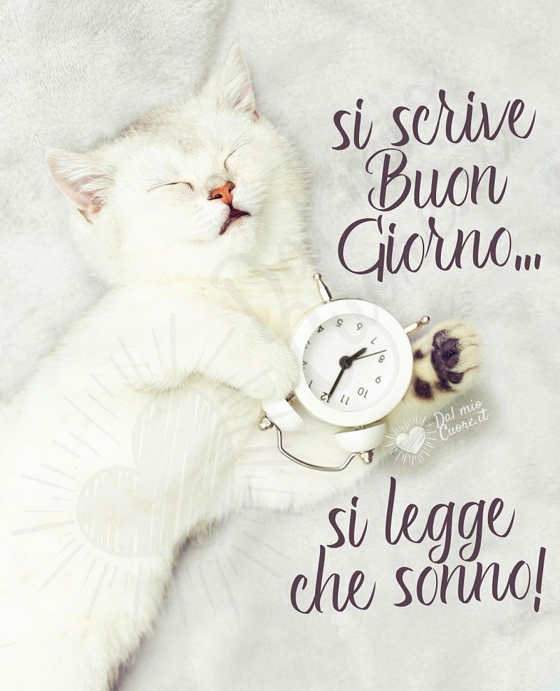 Si scrive buongiorno... si legge che sonno!