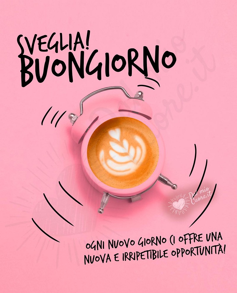 Immagini buongiorno con frase: Ogni nuovo giorno ci offre una nuova e irripetibile opportunità!