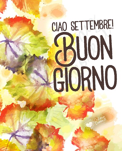 Composizione elegante con atmosfera settembrina, prime foglie dorate e la scritta Ciao Settembre! Buon giorno a tutti.
