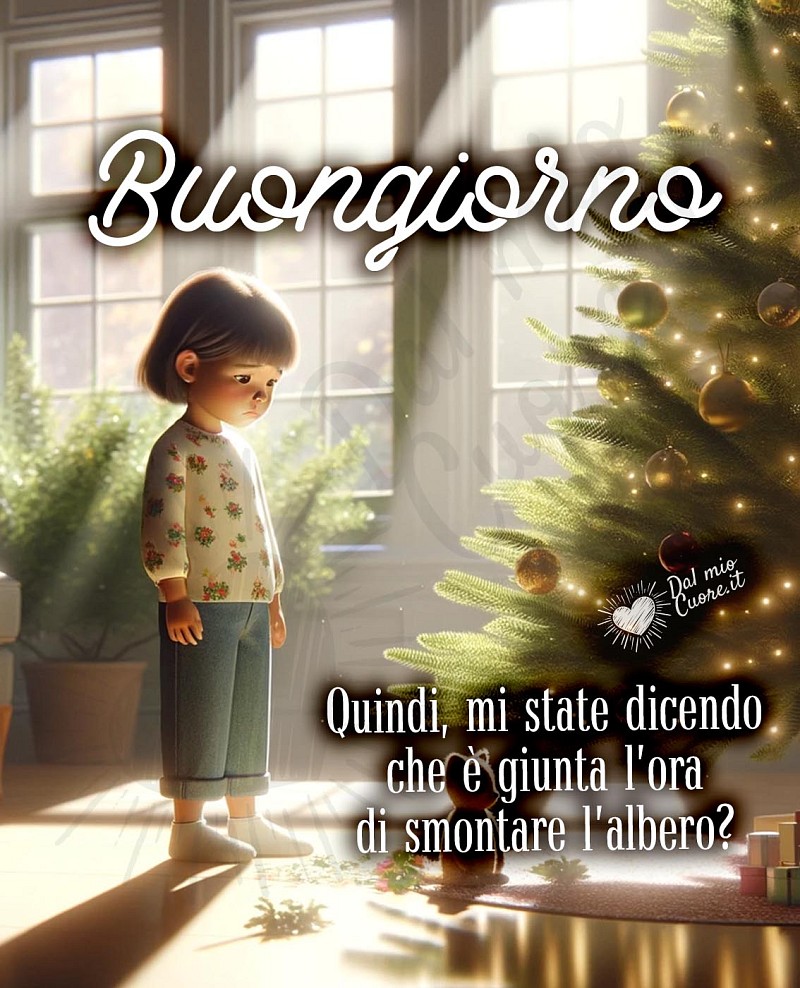 Quindi, mi state dicendo che è giunta l’ora di smontare l’albero? Buongiorno