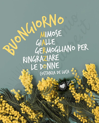 Buongiorno Marzo. Mimose gialle per ringraziare le donne