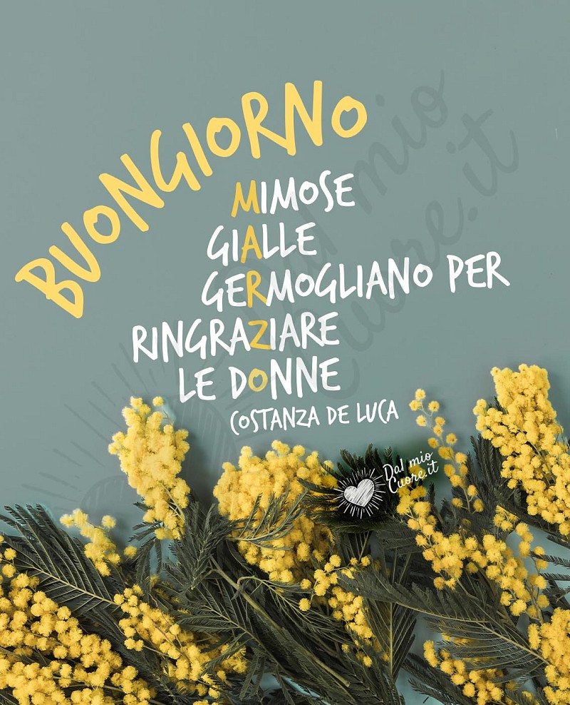Buongiorno Marzo. Mimose gialle per ringraziare le donne