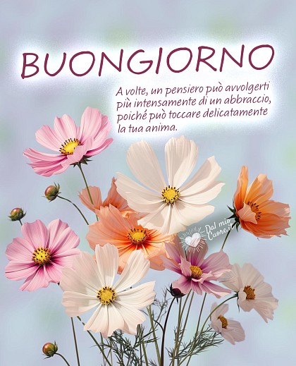 Buongiorno con fiori e frase: "A volte, un pensiero può avvolgerti più intensamente di un abbraccio, poiché può toccare delicatamente la tua anima"