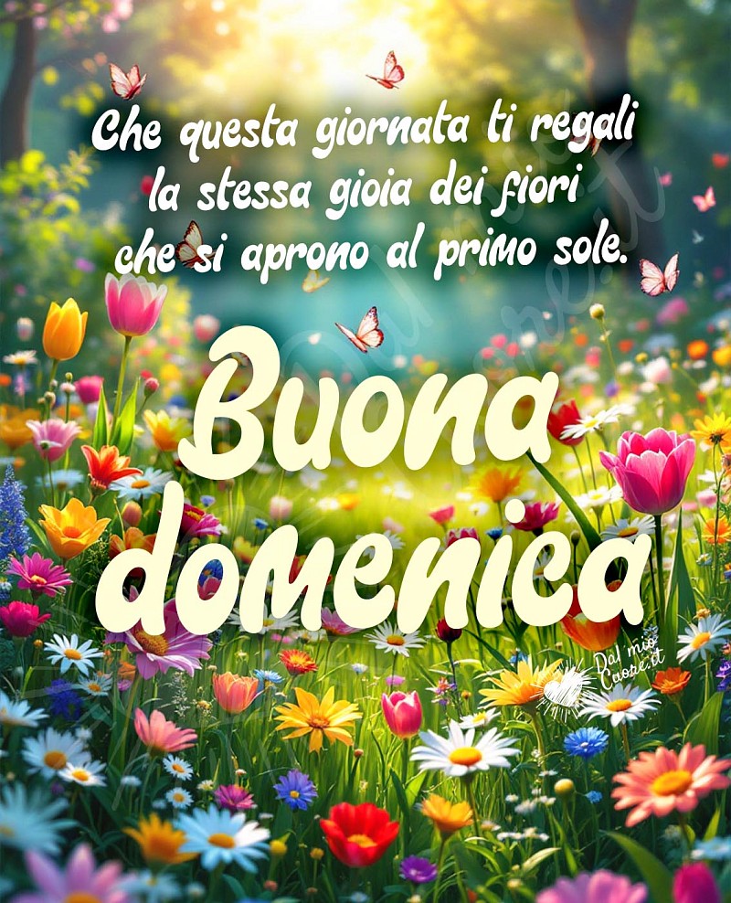 Immagine di buona domenica primaverile con fiori