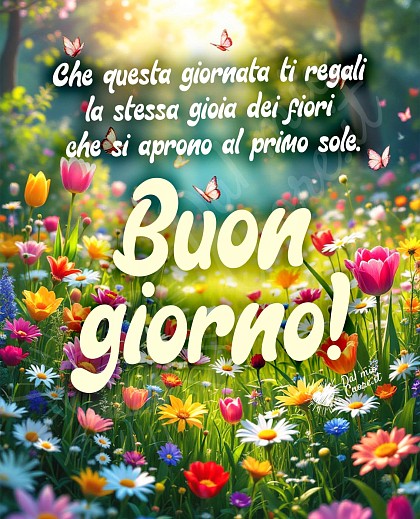 Buongiorno. Frasi: Che questa giornata ti regali la stessa gioia dei fiori che si aprono al primo sole