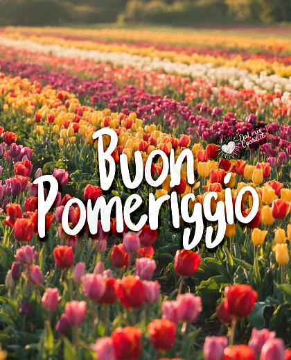 Immagine buon pomeriggio con tulipani
