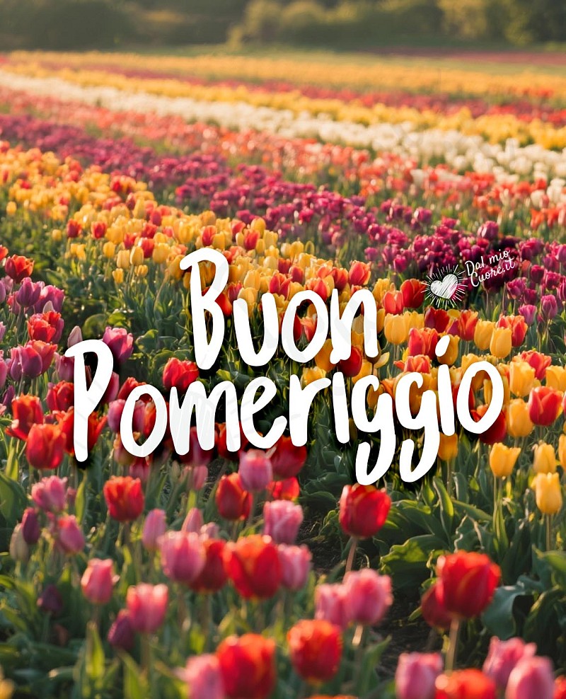 Immagine buon pomeriggio con tulipani