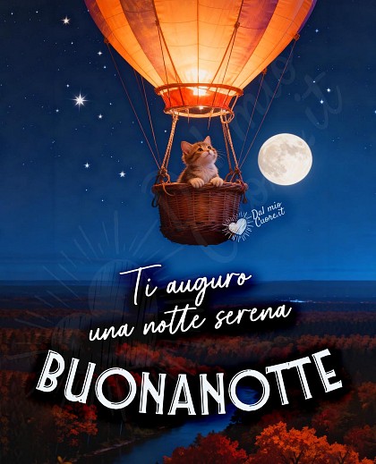 Buonanotte. Ti auguro una notte serena