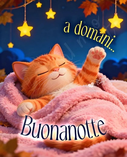 Immagine buonanotte a domani...