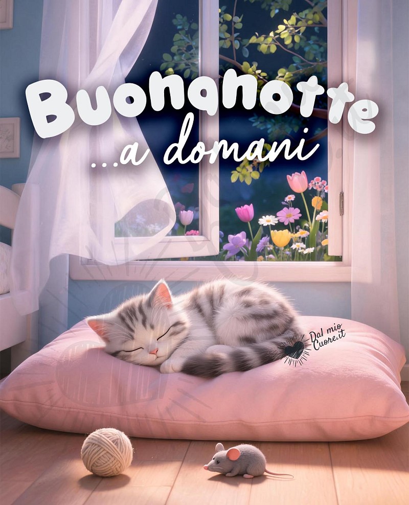 Buonanotte a domani con gattino